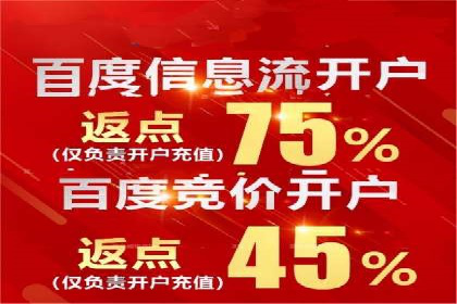 竞价推广实战攻略：成功案例分享